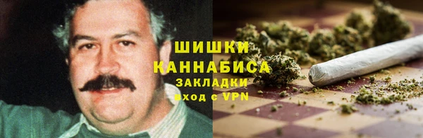 PSILOCYBIN Балахна