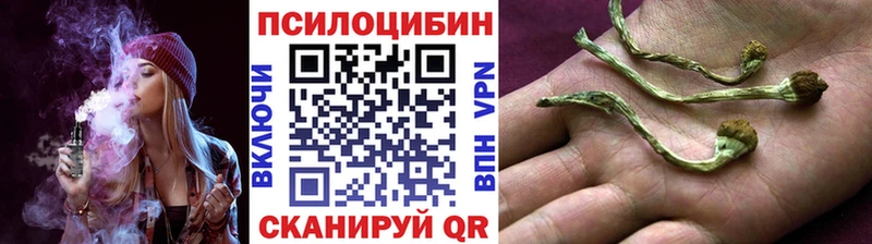 где можно купить наркотик  Сегежа  Псилоцибиновые грибы ЛСД 